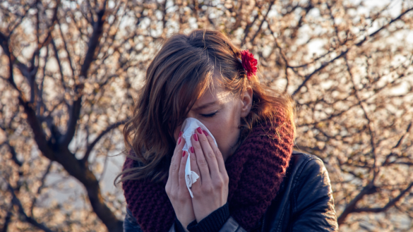 Pollensäsongen: skillnaden mellan pollenallergi & covid-19